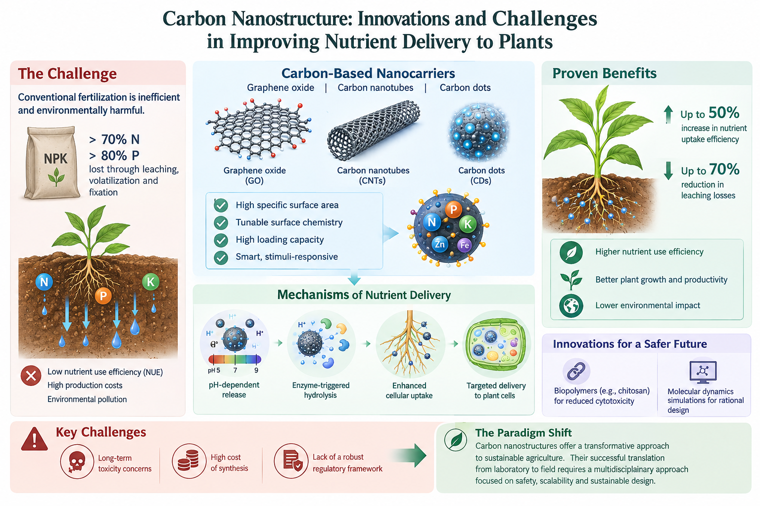 Carbon Nanostructure